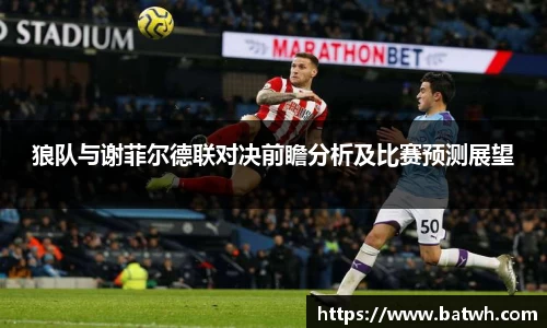 狼队与谢菲尔德联对决前瞻分析及比赛预测展望