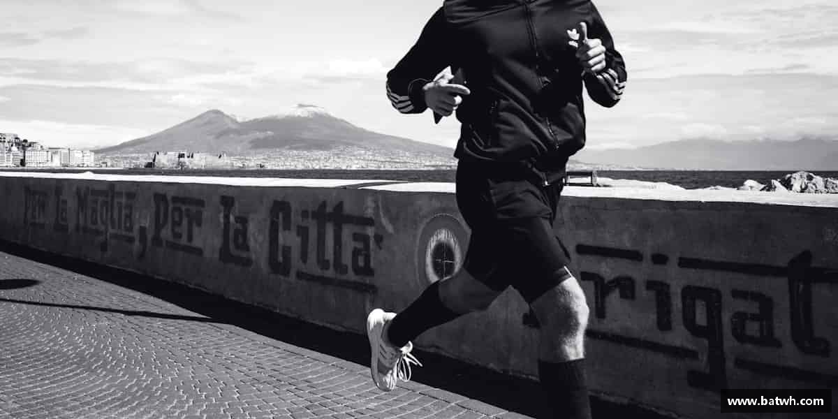 认识芒果(mangosport)体育